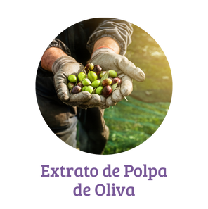 Inserir um título (1)